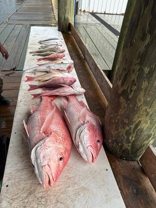 6-10 Hour Trip - OFFSHORE