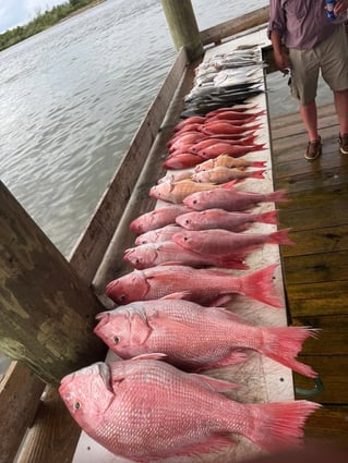 6-10 Hour Trip - OFFSHORE