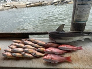 6-10 Hour Trip - OFFSHORE