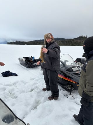 Ice Fishing In North Woods