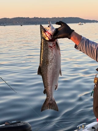 Seattle Salmon Drift Fishing