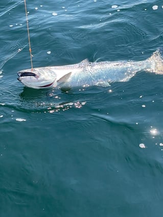 Seattle Salmon Drift Fishing