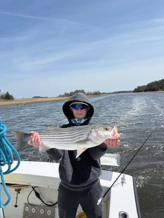  Inshore Fishing Trip
