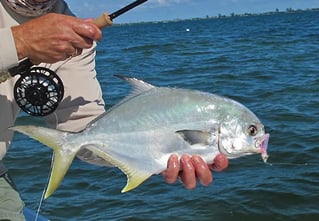 Inshore Fishing Charter