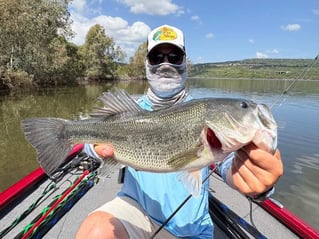 Bass On Lake Omodeo, Sardinia