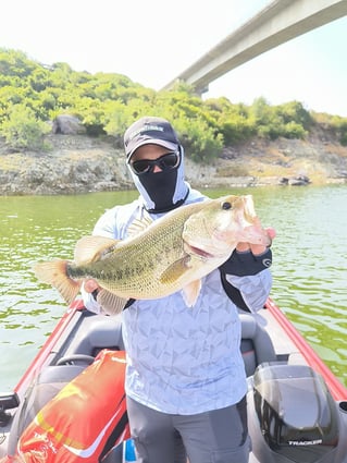Bass On Lake Omodeo, Sardinia