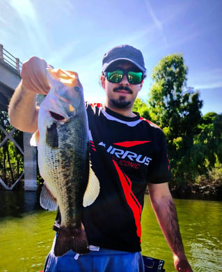 Bass On Lake Omodeo, Sardinia