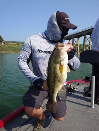 Bass On Lake Omodeo, Sardinia