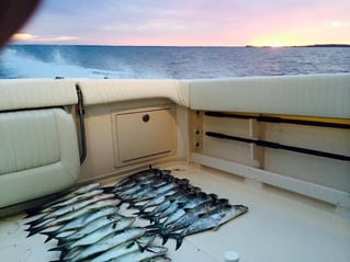 Inshore Fishing Trip