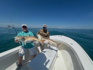 Inshore Fishing Trip