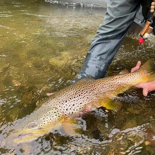 Fly Fishing Float Trip