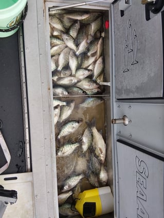Green River Lake Crappie Trips