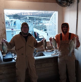 Green River Lake Crappie Trips