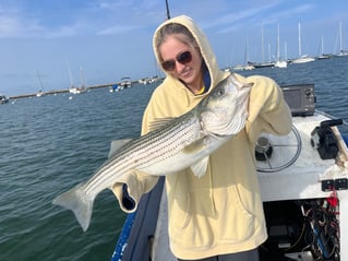 Everything Inshore