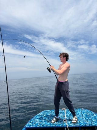 Everything Inshore