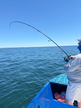 Everything Inshore