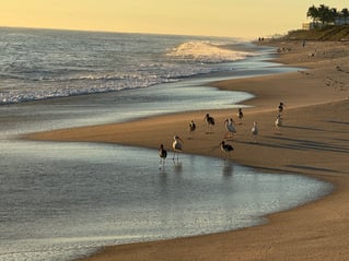 Surf Crushing Experience