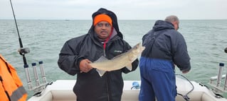 Lake Erie Walleye & Perch