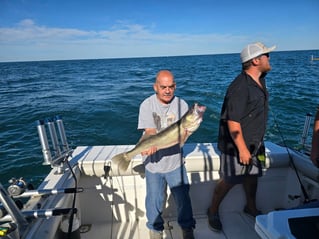 Lake Erie Walleye & Perch