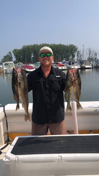 Perch And Walleye Fishing Trip
