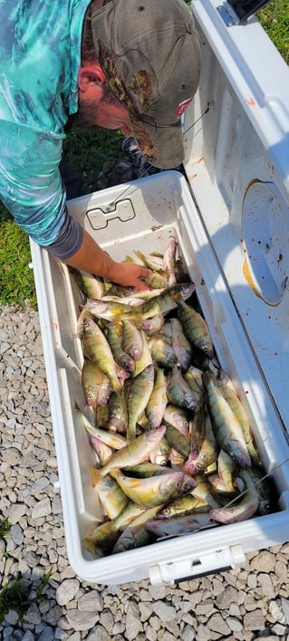 Perch And Walleye Fishing Trip