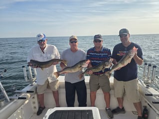 Perch And Walleye Fishing Trip