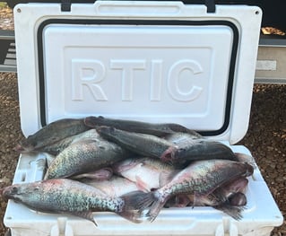 Custom Trophy Crappie Trip 