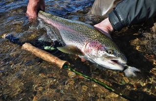 Steelhead Fly Fishing Trip
