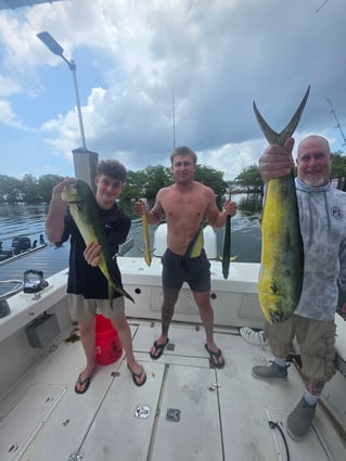 Offshore Half Day