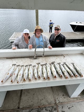 Inshore Fishing 1/2 Day AM 