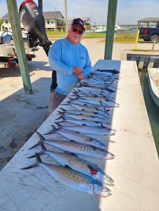 4-6 Hour Inshore Trip