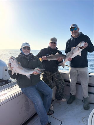 4-8 Hour Fishing Trip