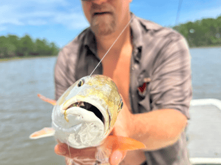 Inshore Fishing Trip