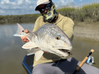 Inshore Fishing Trip