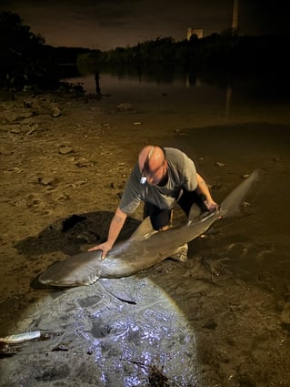 LAND BASED SHARK FISHING