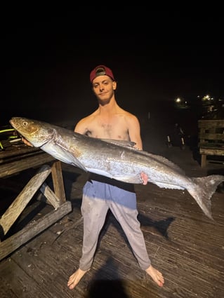 LAND BASED SHARK FISHING