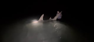 LAND BASED SHARK FISHING