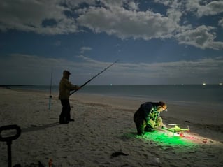 LAND BASED SHARK FISHING
