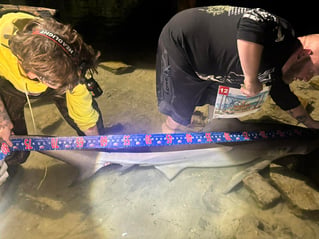LAND BASED SHARK FISHING