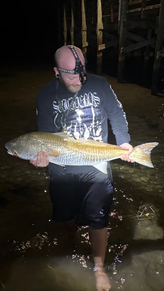 LAND BASED SHARK FISHING
