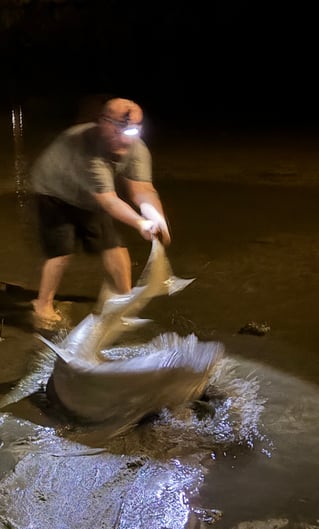 LAND BASED SHARK FISHING