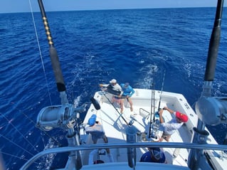 Full Day Trip – Offshore