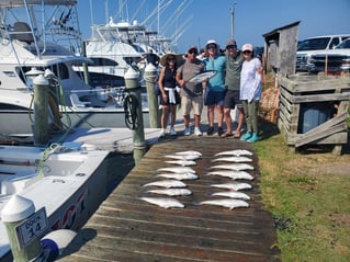 Full Day Trip – Offshore