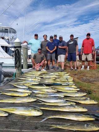 Full Day Trip – Offshore