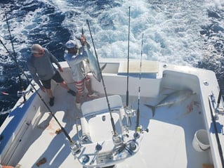 Full Day Trip – Offshore