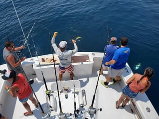Full Day Trip – Offshore