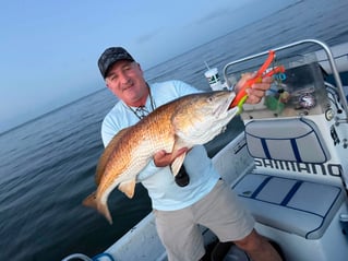 Missippi Inshore Trips 