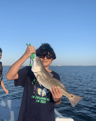 Hunting Redfish In The Flats 