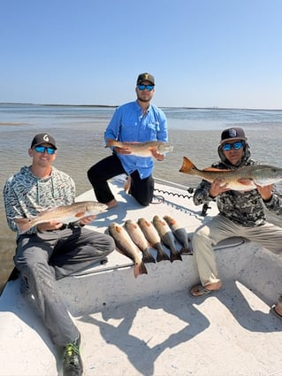 Hunting Redfish In The Flats 