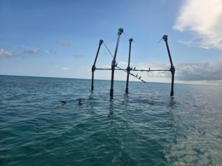 4 Hour AM Inshore Fishing Trip